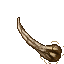 a bone