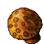 Gardener Mushroom