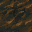 Unknown Item