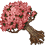 Blooming Sequoia Tree