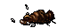 Dead Carrion Worm
