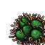 Hydra's Nest