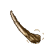 a bone