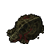 Dead Unknown