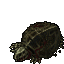 Dead Unknown