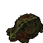 Dead Unknown